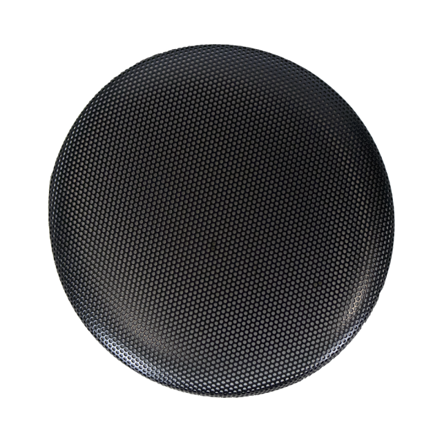 RS31 Black Grille